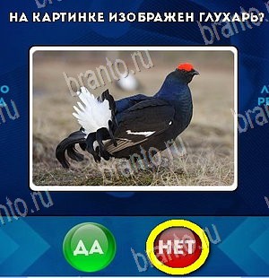 Да или Нет игра ответы в одноклассниках Уровень 5947