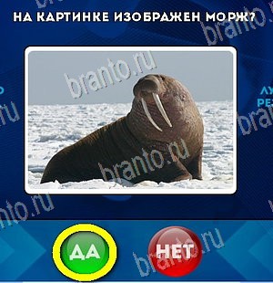решебник на игру Да или Нет Уровень 5951