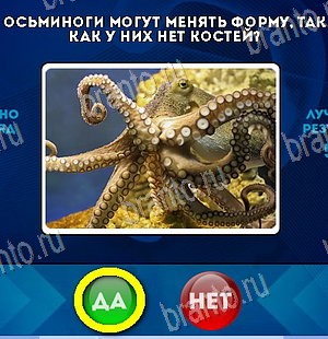 Да или Нет игра помощь Уровень 5955