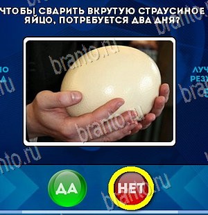 игра Да или Нет ответ на Уровень 5960