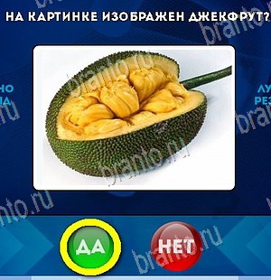 Да или Нет ответы в картинках Уровень 5966
