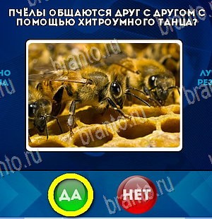 игра Да или Нет помощь Уровень 5969