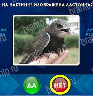 игра Да или Нет ответ на Уровень 5970