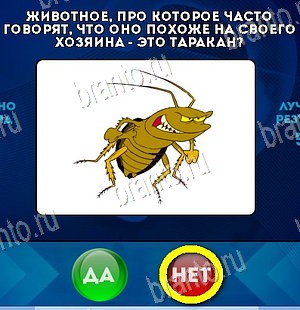 Помощь на игру ВК Да или Нет Уровень 5974