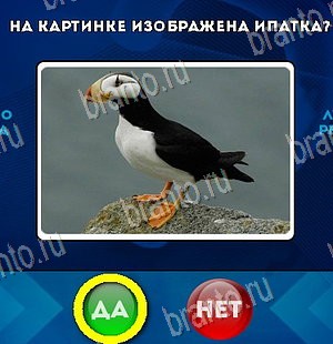 Да или Нет решения Уровень 5982