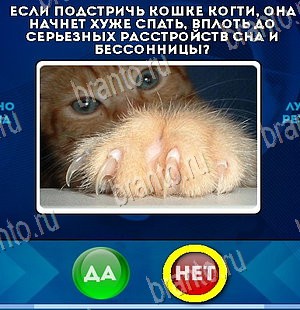 игра Да или Нет помощь Уровень 5989