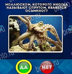 Да или Нет игра помощь Уровень 5995
