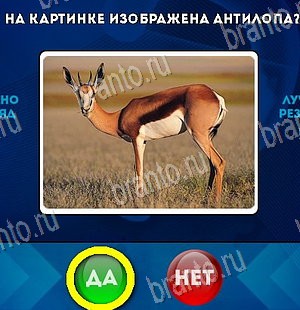 Игра Да или Нет подсказки Уровень 5998
