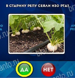 Подсказки на игру Да или Нет Уровень 6002