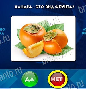 Помощь на игру ВК Да или Нет Уровень 6004