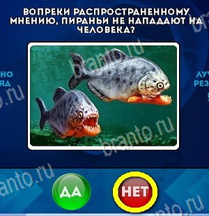Игра Да или Нет ответы Уровень 6027