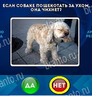 Игра Да или Нет подсказки Уровень 6028