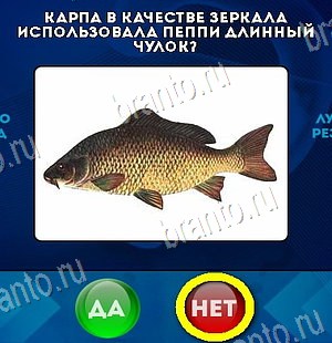 Помощь на игру ВК Да или Нет Уровень 6034