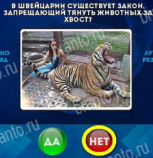 Да или Нет игра подсказки Уровень 6044