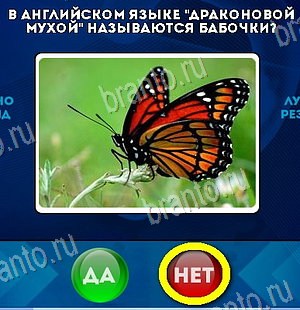 Да или Нет игра подсказки Уровень 6054