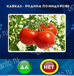 ответы на игру Да или Нет в одноклассниках Уровень 6061