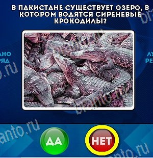 ответы на игру в одноклассниках Да или Нет Уровень 6066