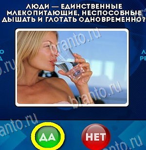 Да или Нет игра ответы Уровень 6073
