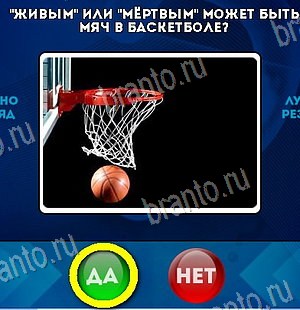Да или Нет игра подсказки Уровень 6074