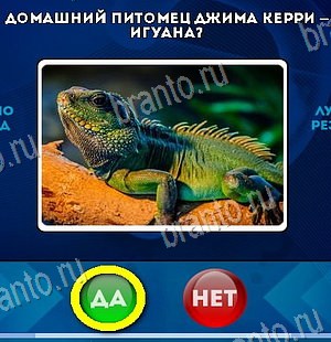 решебник на игру Да или Нет Уровень 6081