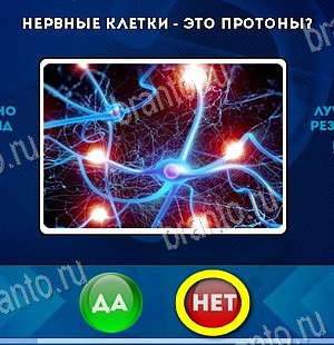 Игра Да или Нет подсказки Уровень 6108