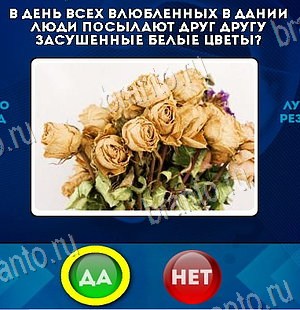 Да или Нет игра ответы Уровень 6113