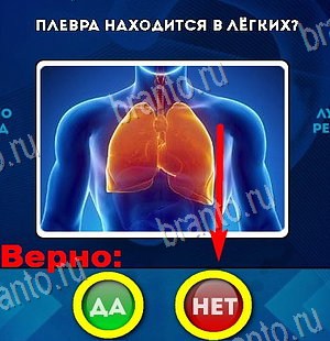 Да или Нет игра помощь Уровень 6115