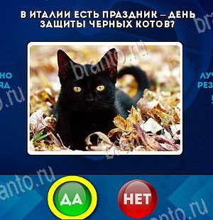 игра Да или Нет помощь Уровень 6119