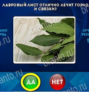 ответы на игру Да или Нет в одноклассниках Уровень 6121