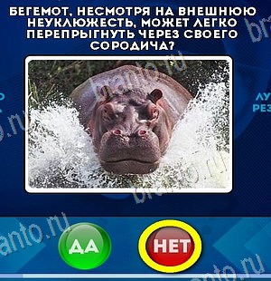 Да или Нет подсказки в контакте Уровень 6129