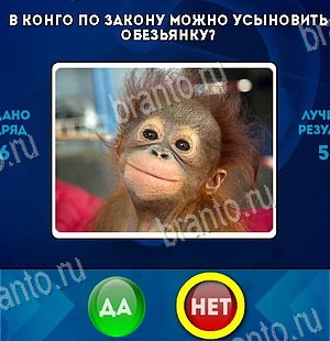 Игра Да или Нет подсказки Уровень 6138