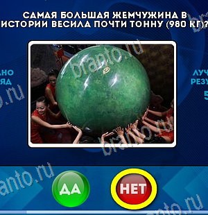 Да или Нет игра ответы Уровень 6143