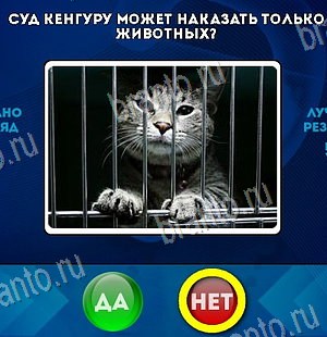 Да или Нет игра помощь Уровень 6145