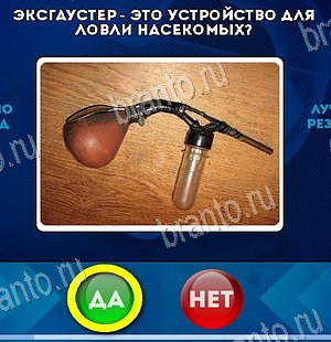 игра Да или Нет помощь Уровень 6149