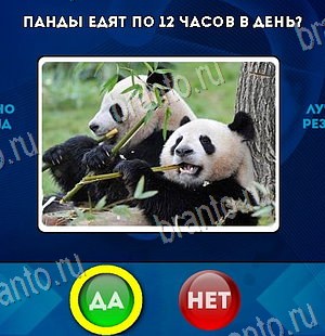 Помощь на игру ВК Да или Нет Уровень 6154