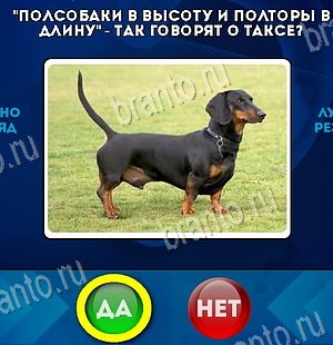решебник на игру Да или Нет Уровень 6161