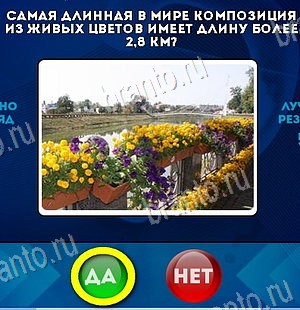 Да или Нет игра ответы Уровень 6163