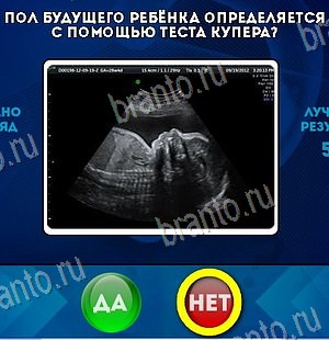 игра Да или Нет ответ на Уровень 6170