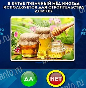 Да или Нет игра подсказки Уровень 6174