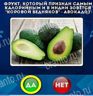 Игра Да или Нет ответы Уровень 6177