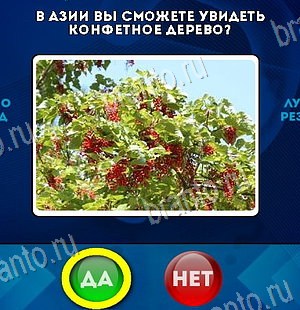 Да или Нет подсказки в контакте Уровень 6189