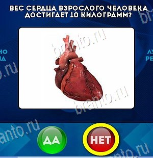 Да или Нет решения Уровень 6192