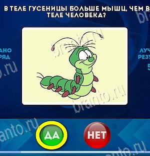 ответы к игре Да или Нет Уровень 6215