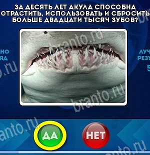 Да или Нет игра помощь Уровень 6225