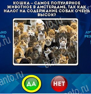 Игра Да или Нет подсказки Уровень 6228