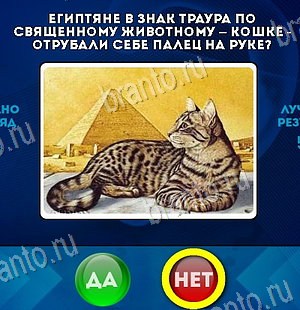 Да или Нет подсказки в контакте Уровень 6249