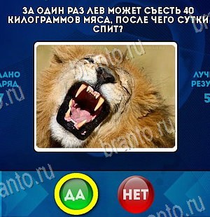 решебник на игру Да или Нет Уровень 6261