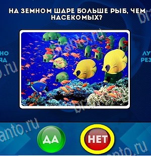 игра Да или Нет ответ на Уровень 6270