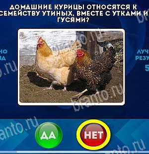 игра Да или Нет ответ на Уровень 6290