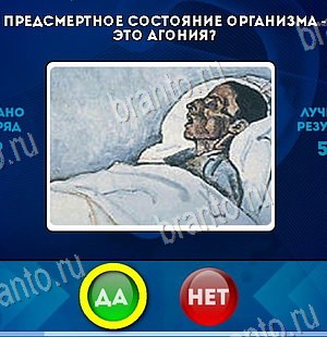 Игра Да или Нет ответы Уровень 6297